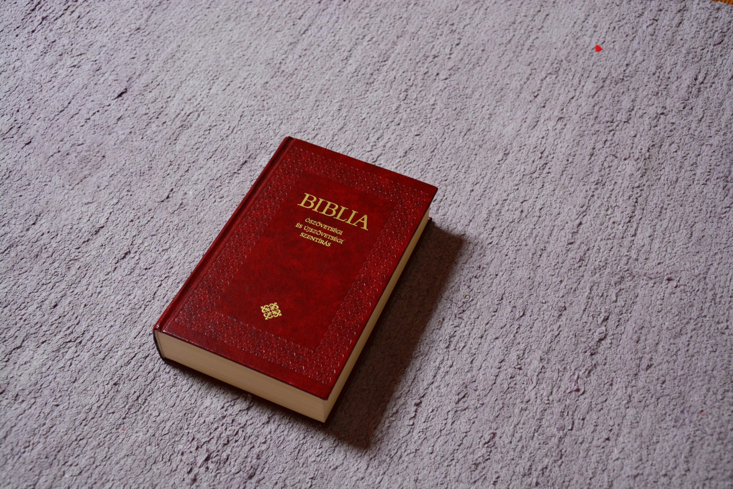 La Bibbia Parola di Dio guida spirituale